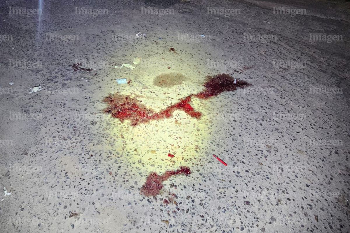 Trágico accidente en Fresnillo deja una mujer muerta y tres lesionados
