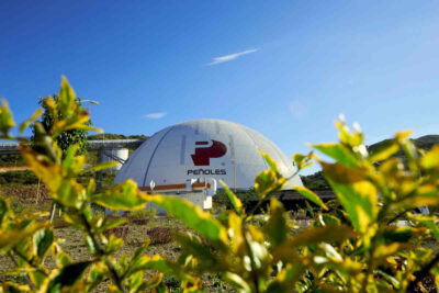 Integridad corporativa guía a Peñoles y su cadena de valor