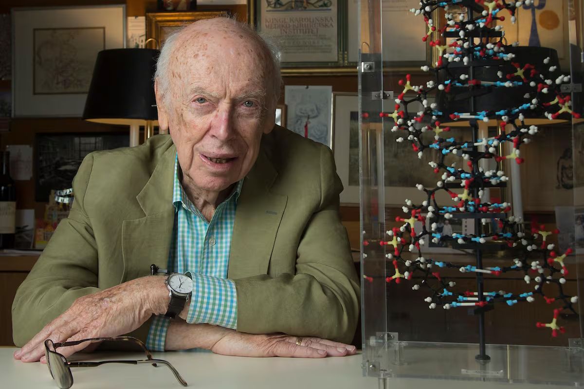 Muere James Watson, codescubridor de la estructura del ADN, a los 97 años.
