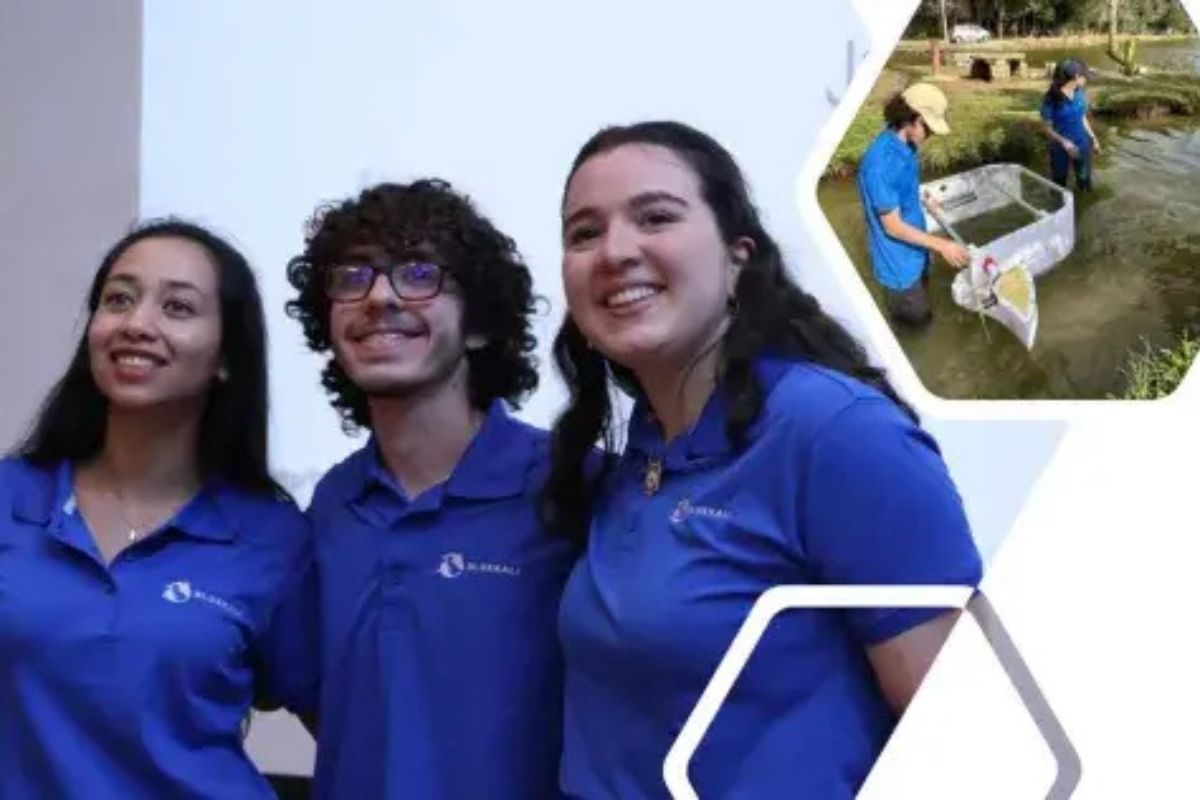 Robots que limpian ríos y compiten rumbo al Mundial 2026: InnovaTecNM 2025 desata el ingenio estudiantil.