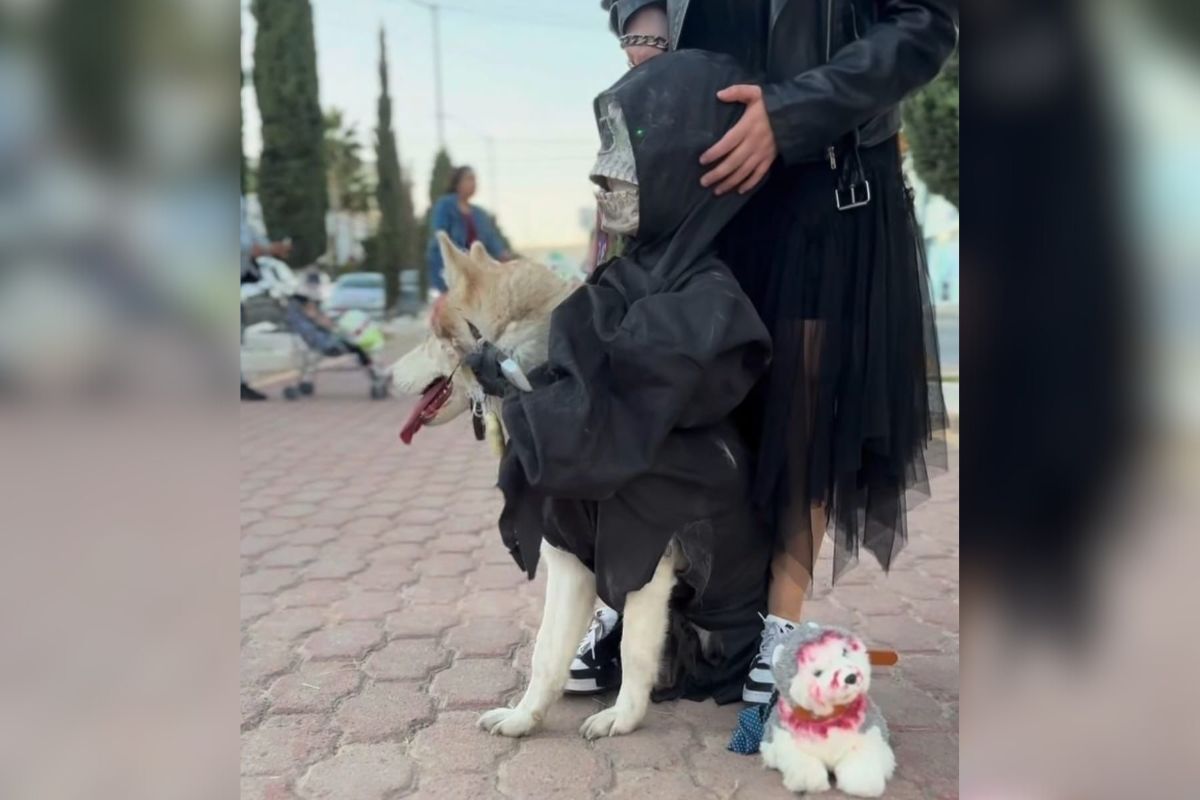 Huellitas de Amor celebra colorida caminata de Día de Muertos en Fresnillo