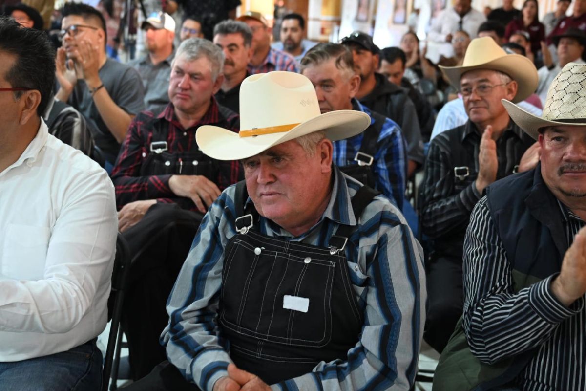 centros de acopio de frijol