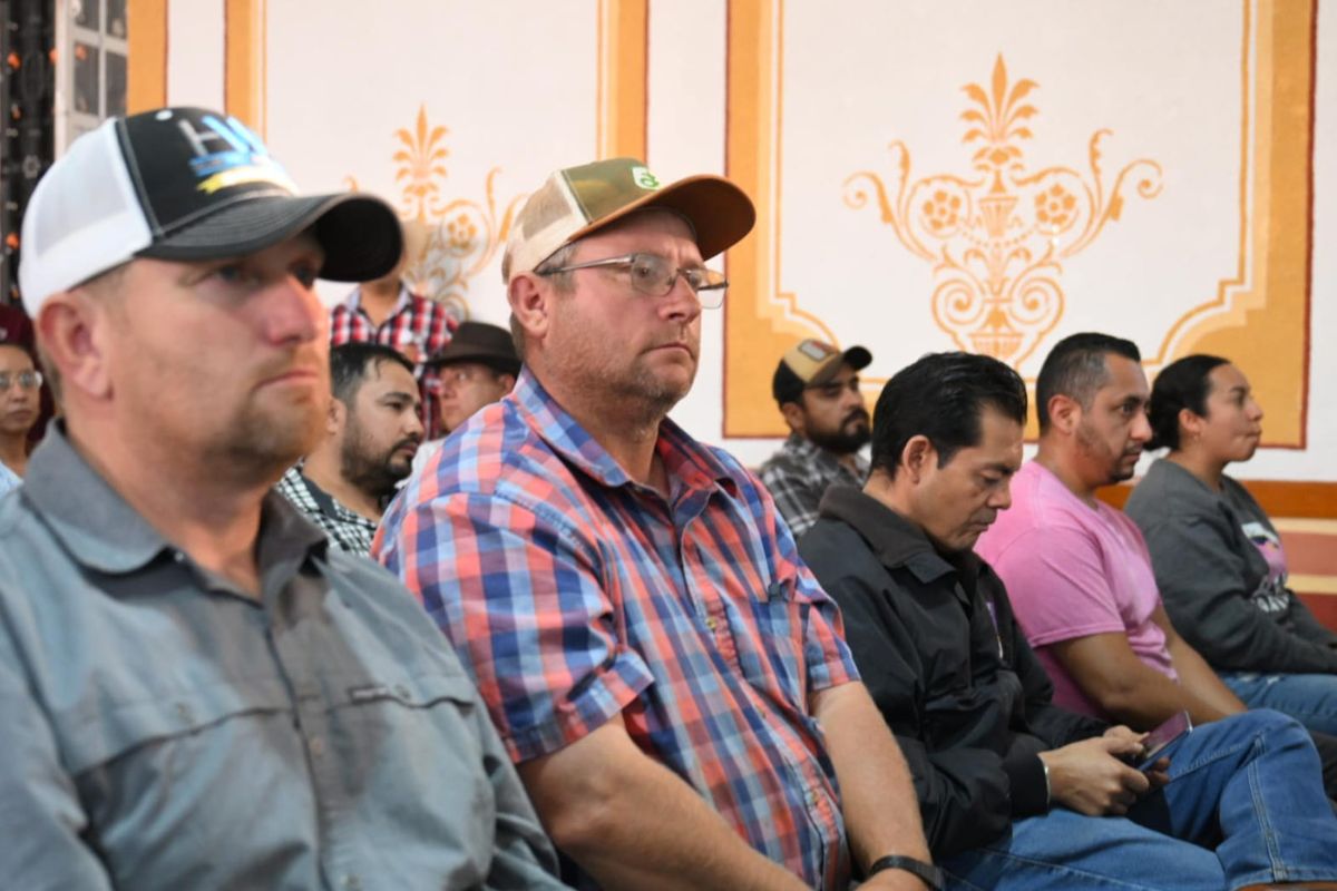 centros de acopio de frijol