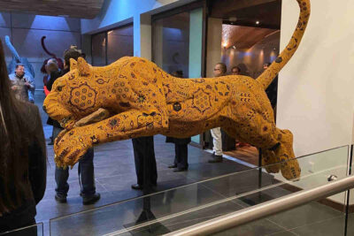 Conoce al maestro César Menchaca en “Somos Guardianes”