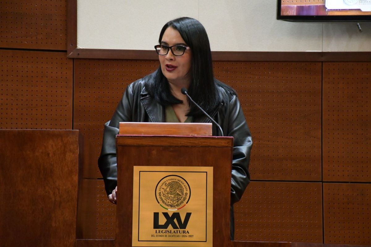 Renata Ávila, diputada desairada