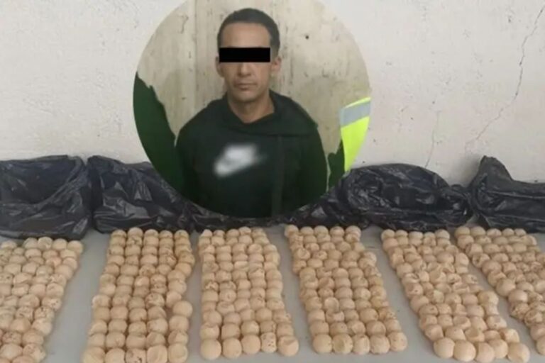 Detienen a un hombre en el Metro de la CDMX por trasladar huevos de tortuga