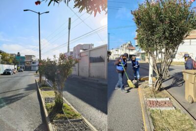 Dirección de Parques y Jardines de Fresnillo mantiene trabajos en El Mineral