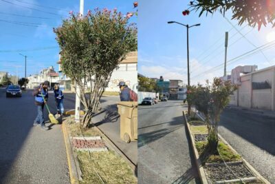 La Dirección de Parques y Jardines del Mineral trabaja para las festividades de fin de año