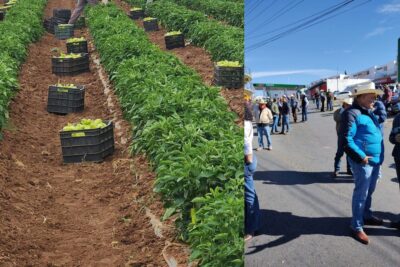 UPAZ recibe concesiones de agua para regularizar pozos agrícolas en Zacatecas
