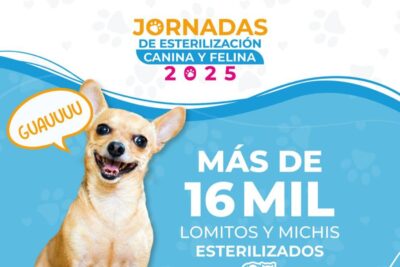 SSZ realiza más de 16 mil esterilizaciones gratuitas en los 58 municipios de Zacatecas durante 2025