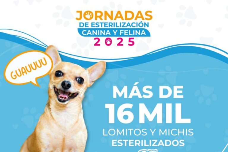 SSZ realiza más de 16 mil esterilizaciones gratuitas en los 58 municipios de Zacatecas durante 2025