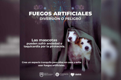 Protección Civil Zacatecas alerta sobre los daños de la pirotecnia en personas y animales