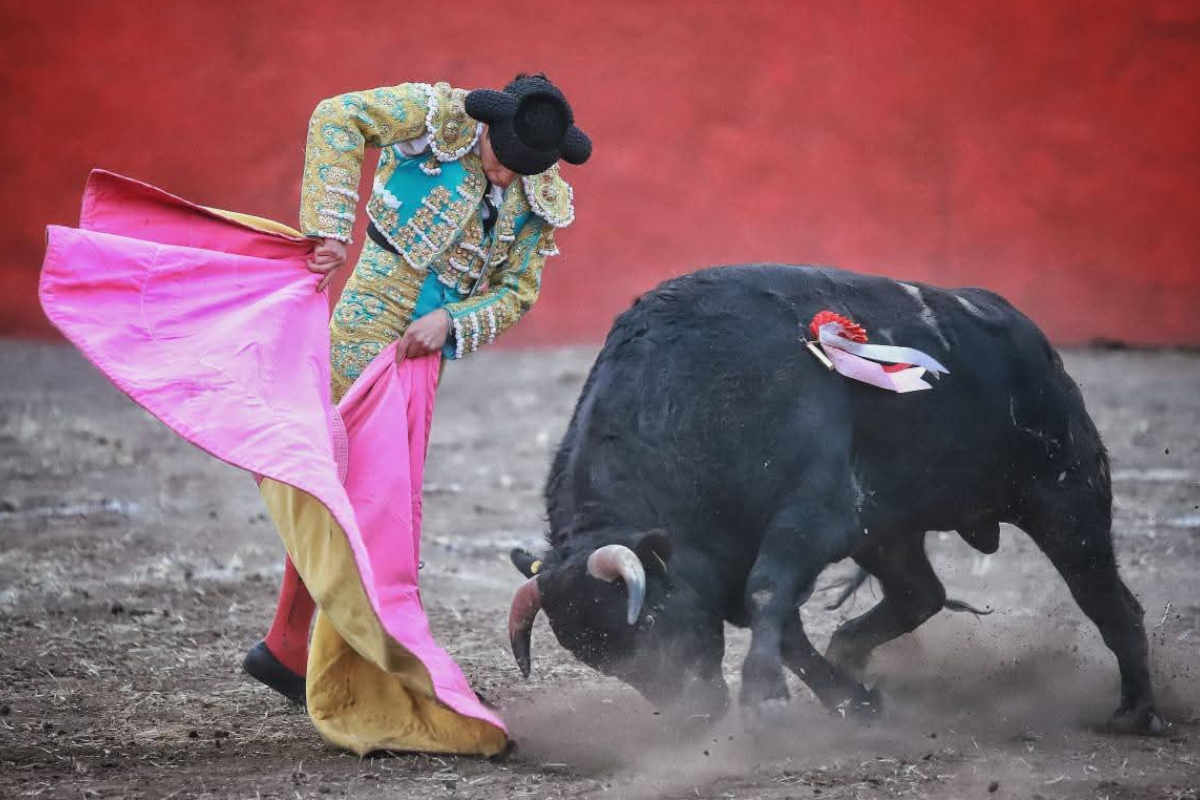 Rafael Soriano recibirá la alternativa el jueves 25 de diciembre en Jalpa