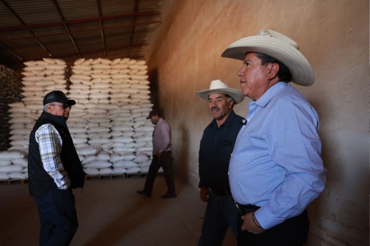 Gobierno de Zacatecas mantiene abiertos los centros de acopio de frijol