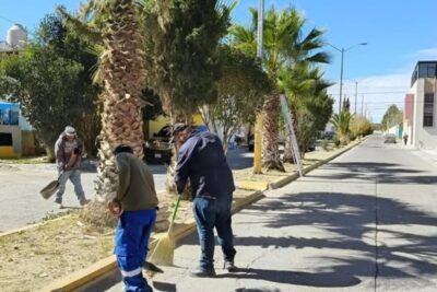 Renuevan la imagen de la calle Plata: Servicios Públicos realiza limpieza integral