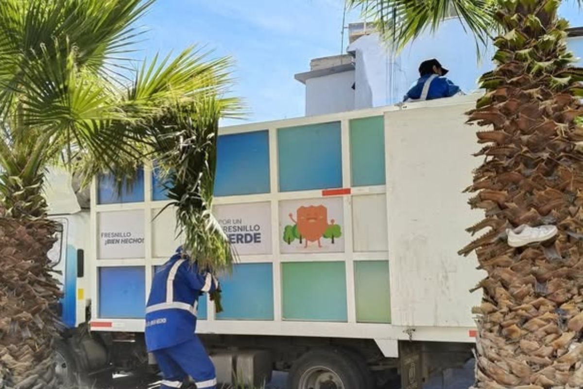 Renuevan la imagen de la calle Plata: Servicios Públicos realiza limpieza integral