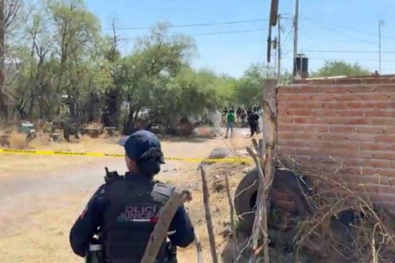Abandonan 7 cuerpos en carretera de Aguascalientes; indagan posible vínculo con Zacatecas