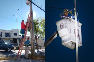 Refuerza Guadalupe mantenimiento de luminarias y espacios públicos en todo el municipio
