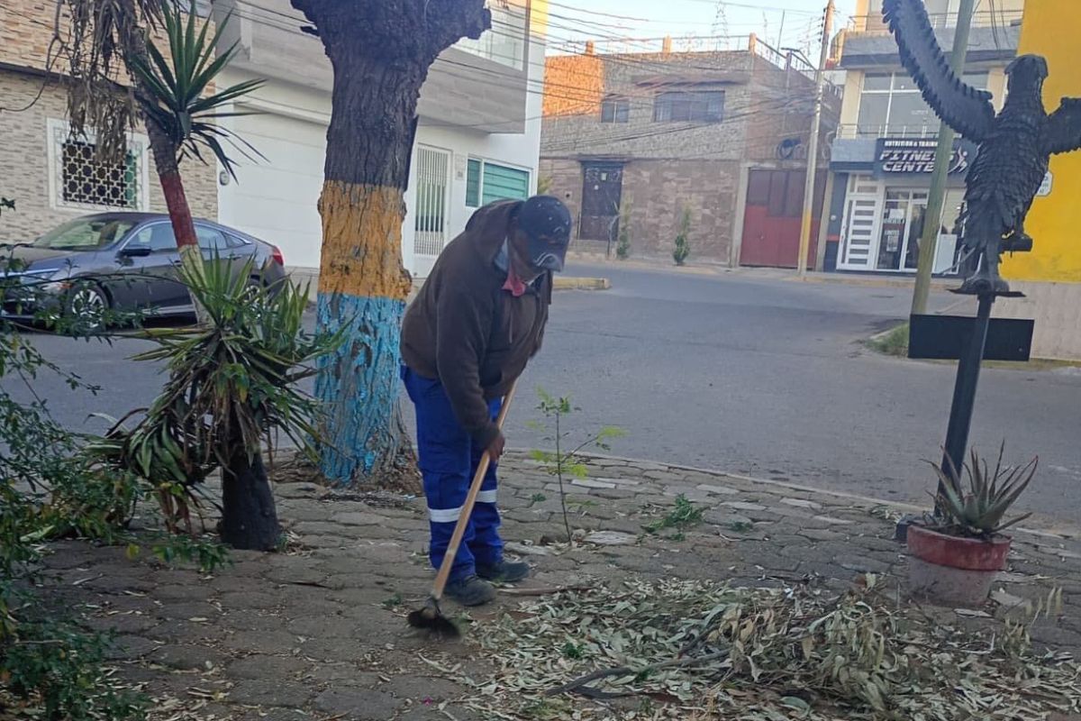 Parques y Jardines de Fresnillo realizan jornadas de limpieza en la calle Luis Moya Norte