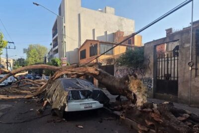 Sismo deja 12 lesionados en la CDMX; autoridades evalúan inmuebles