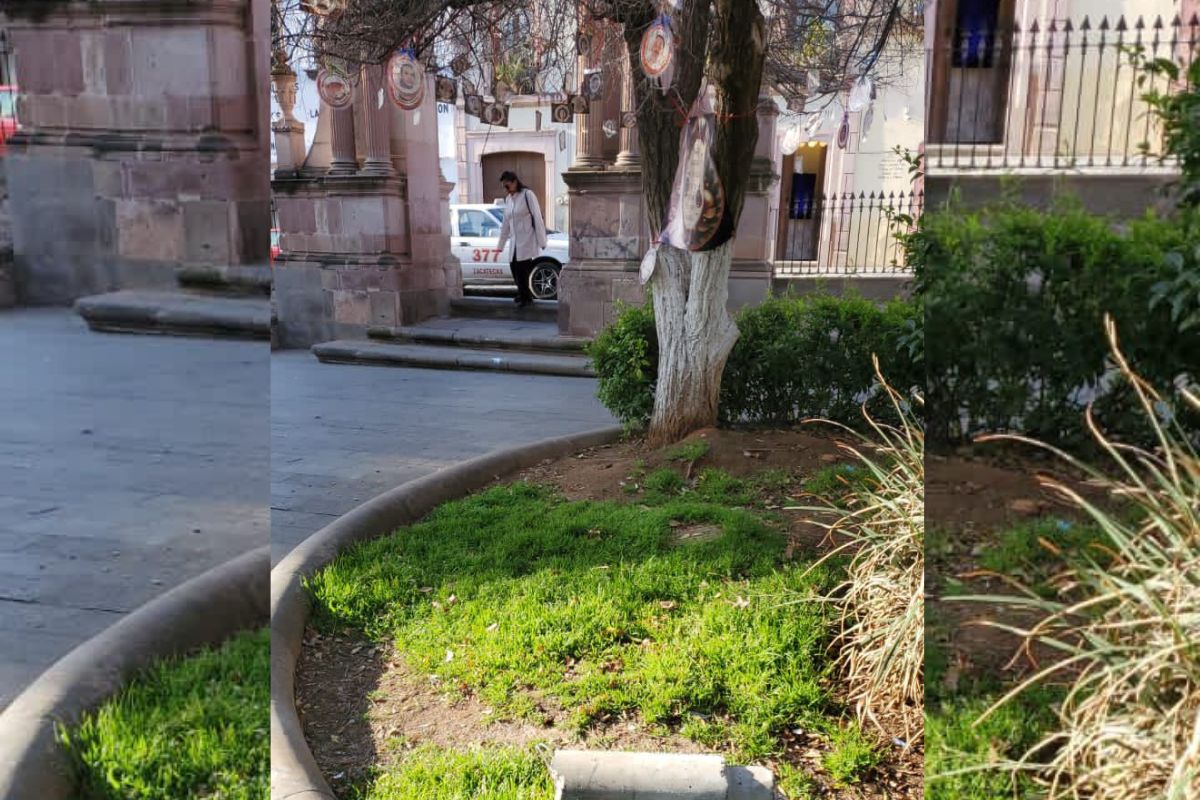 Denuncia Gobierno de Zacatecas actos de vandalismo en la Alameda y el Parque Arroyo de la Plata