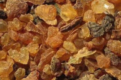 ¿Qué es la Mirra y por qué fue uno de los regalos de los Reyes Magos?