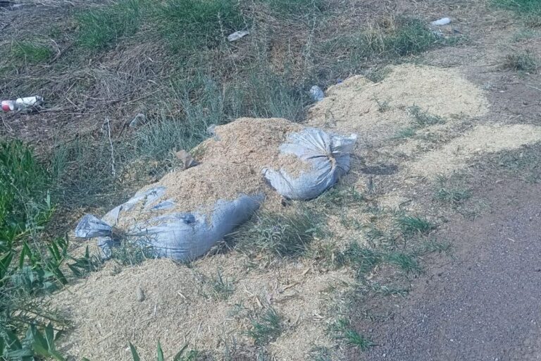 Aseguran 233 kilos de explosivos en límites de Zacatecas y Aguascalientes