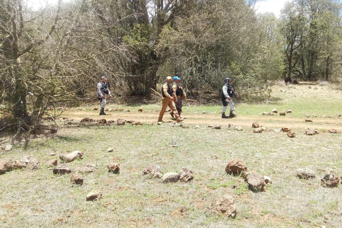 Realizan búsqueda forense en la sierra de Tepetongo para fortalecer la localización de personas desaparecidas.