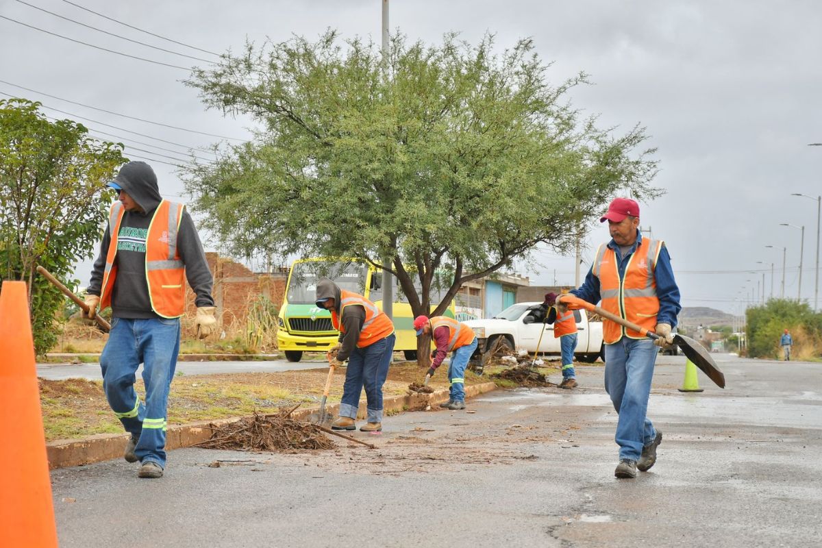 Limpieza preventiva reduce riesgos de inundación en Guadalupe durante temporada de lluvias.