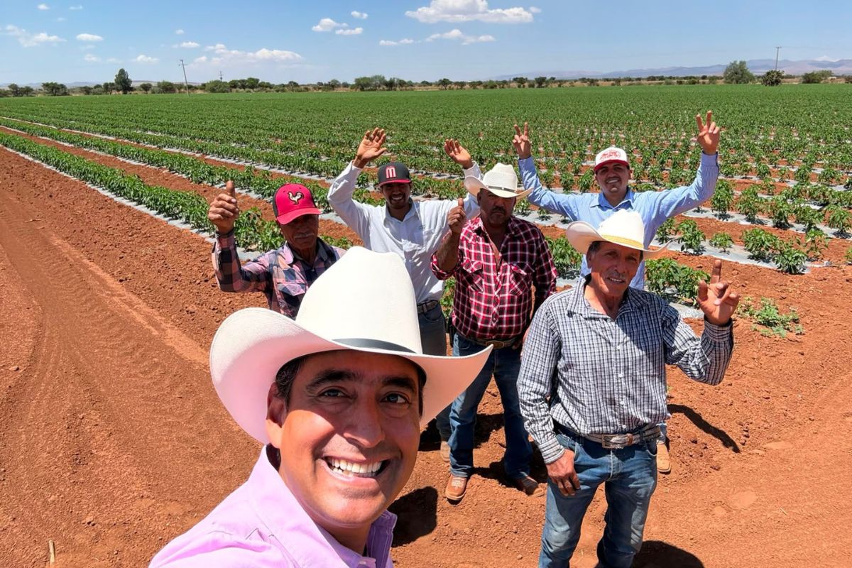 Apoyos al campo fortalecen la producción agrícola y elevan la competitividad en Guadalupe.