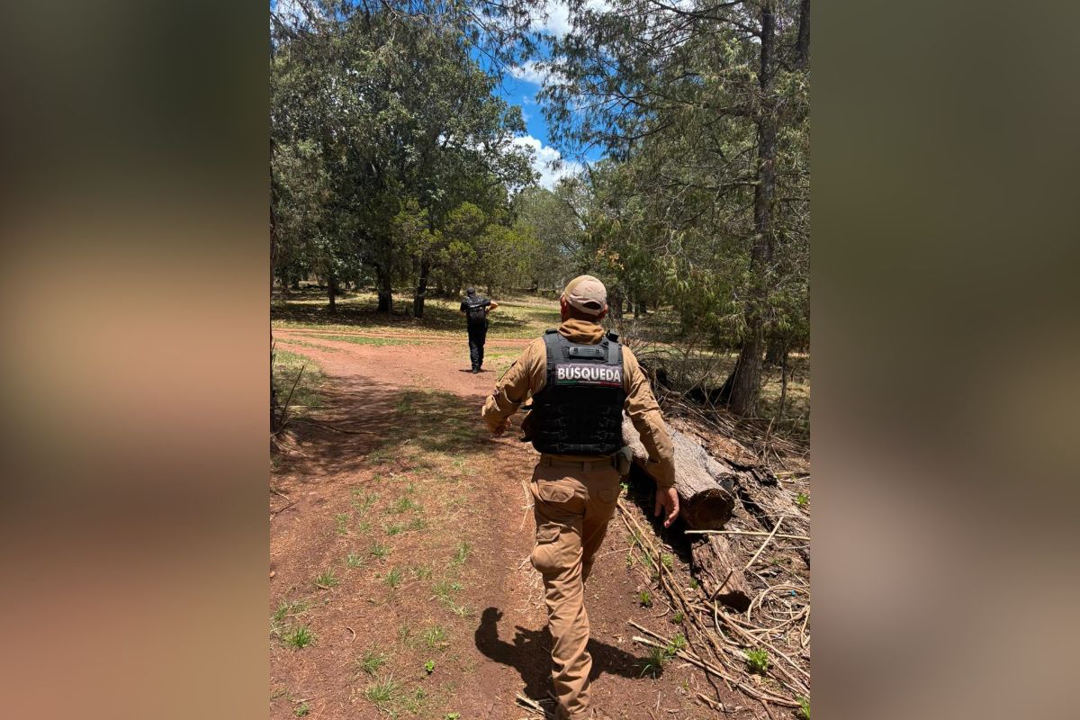 Realizan búsqueda forense en la sierra de Tepetongo para fortalecer la localización de personas desaparecidas.