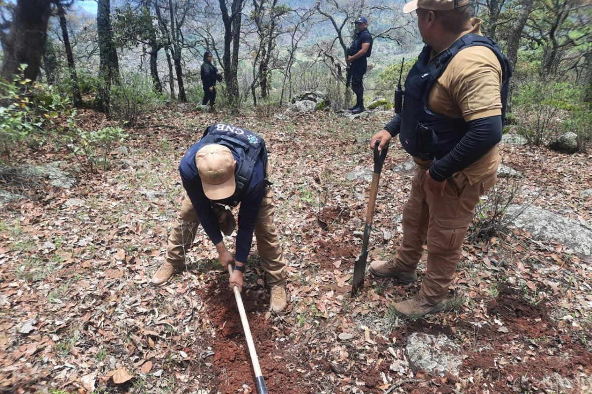 Localizan restos óseos durante búsqueda forense en la sierra de Tepechitlán.