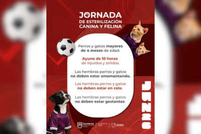 Jornada de esterilización canina y felina llegará a siete municipios de Zacatecas durante junio
