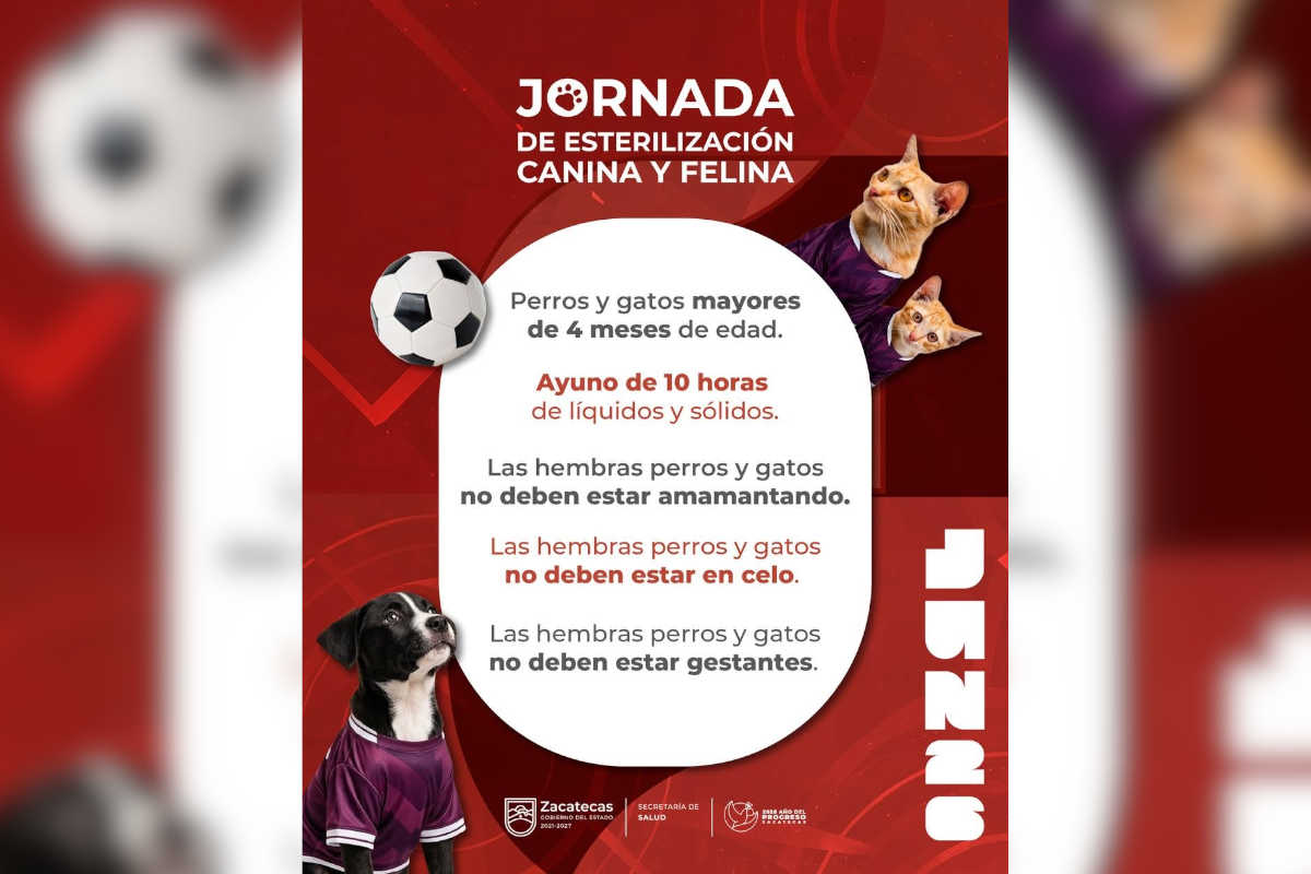 Jornada de esterilización canina y felina llegará a siete municipios de Zacatecas durante junio