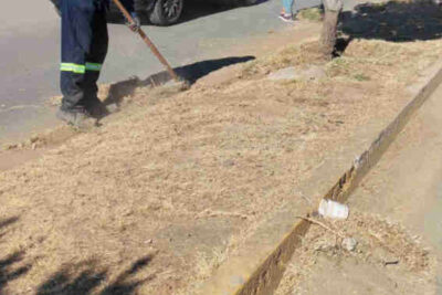 Vecinos de Estación San José exigen mantenimiento de camellones y poda de árboles