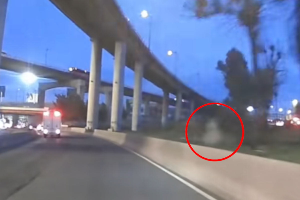 Video de presunta aparición en Puente de la Concordia desata debate en redes sociales