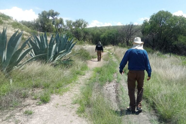 Gobierno de Zacatecas realiza búsqueda individualizada de personas desaparecidas en Jerez