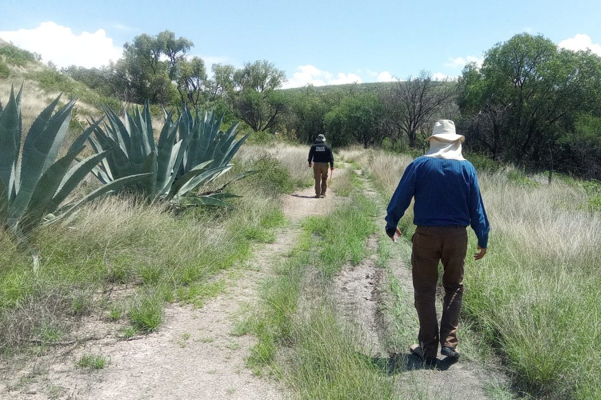Gobierno de Zacatecas realiza búsqueda individualizada de personas desaparecidas en Jerez