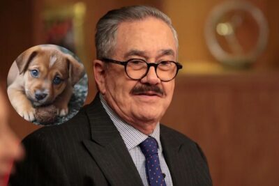 Denuncian a Pedro Sola por presunta apología al maltrato animal