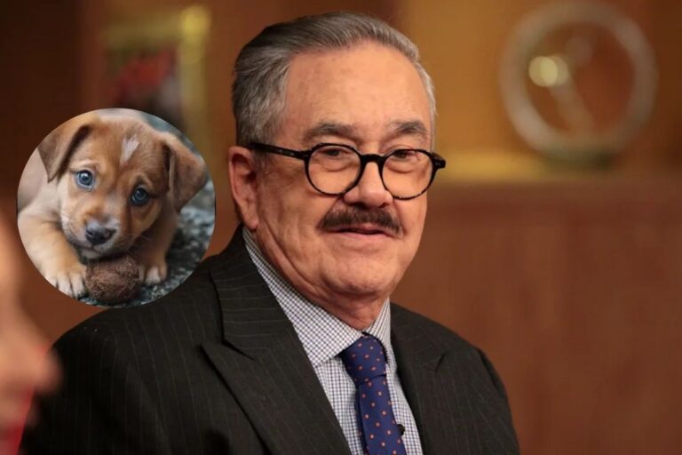 Denuncian a Pedro Sola por presunta apología al maltrato animal