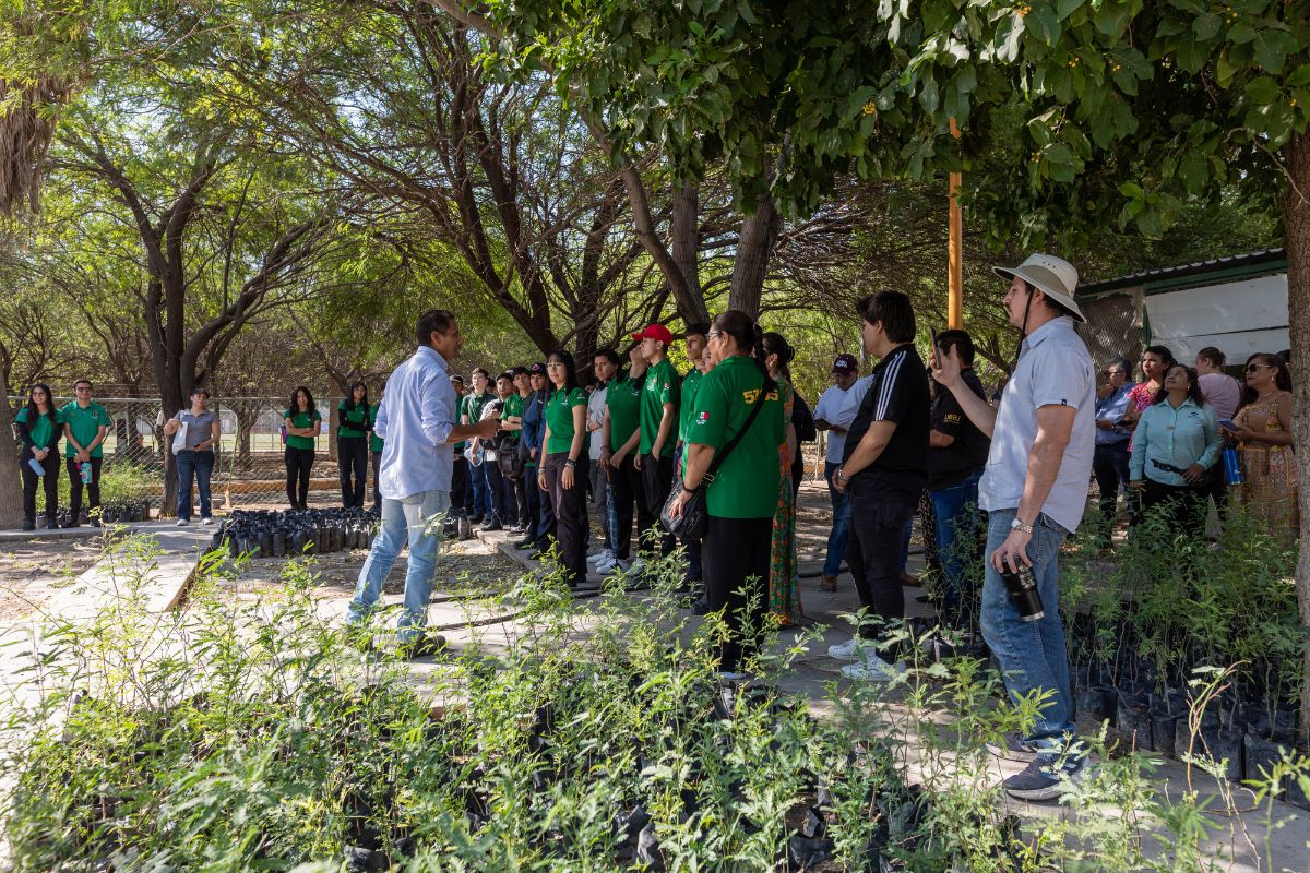 Peñoles impulsa la reforestación en sus comunidades vecinas.