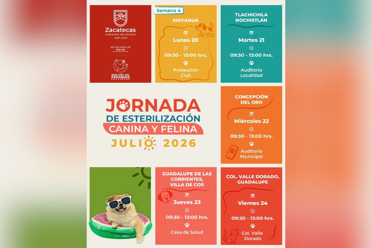 SSZ llevará jornadas gratuitas de esterilización de perros y gatos a cinco municipios.