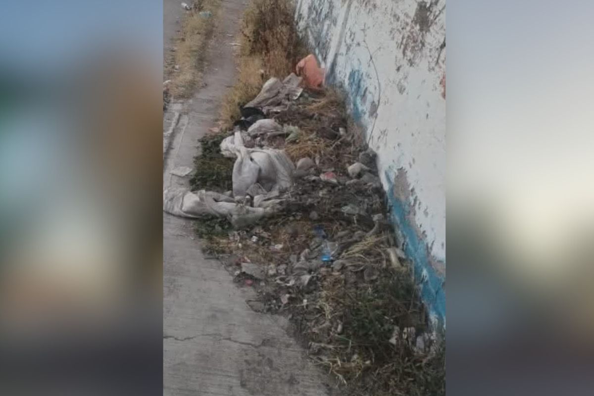 Vecinos de la Colonia México de Fresnillo denuncian gran problema de basura en su zona