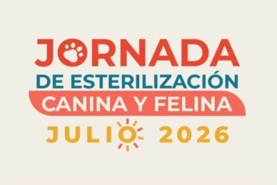 Llevará Gobierno de Zacatecas jornada gratuita de esterilización de mascotas a Tlaltenango, Monte Escobedo y Jerez