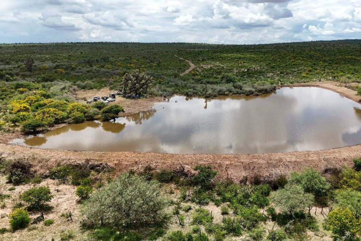 Gobiernos de David Monreal y Pepe Saldívar fortalecen el campo con más de 40 bordos en comunidades de Guadalupe.