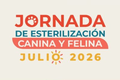 SSZ llevará jornadas gratuitas de esterilización de perros y gatos a cinco municipios