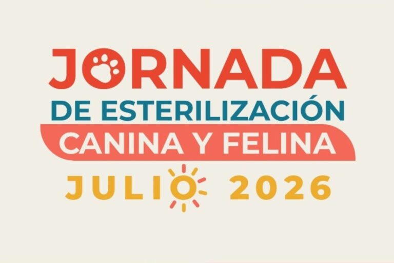 SSZ llevará jornadas gratuitas de esterilización de perros y gatos a cinco municipios