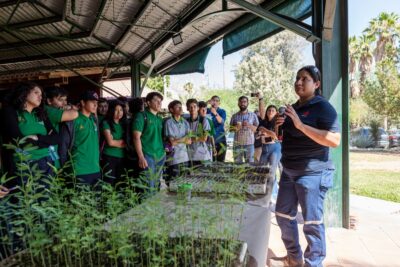 Peñoles impulsa la reforestación en sus comunidades vecinas