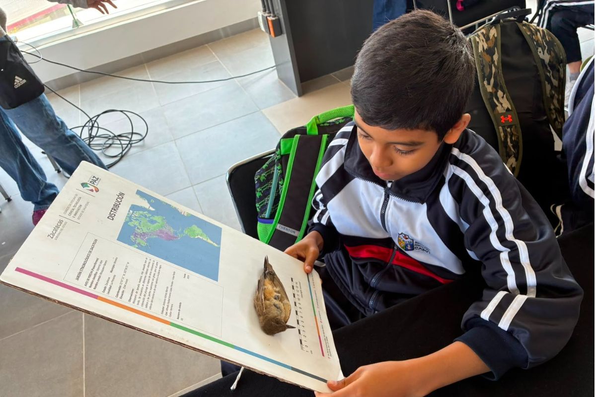 Quantum acerca la ciencia y la educación ambiental a estudiantes de primaria en Zacatecas.