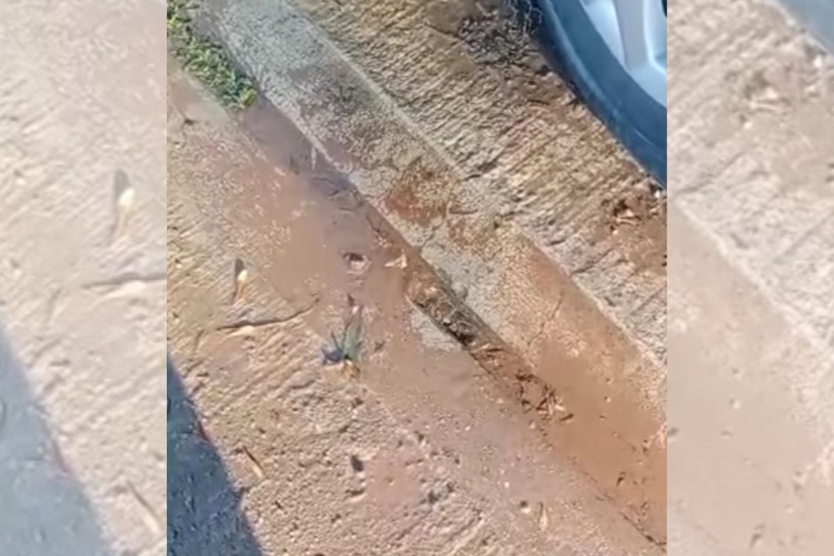 Denuncian fuga de agua potable en la colonia Industrial de Fresnillo